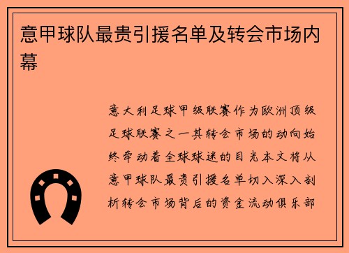 意甲球队最贵引援名单及转会市场内幕